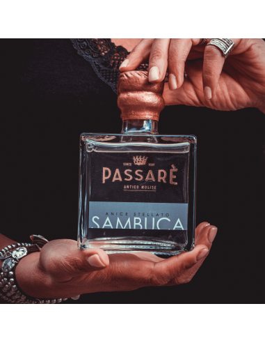 Sambuca - Anice Stellato Sambuca - Anice Stellato
