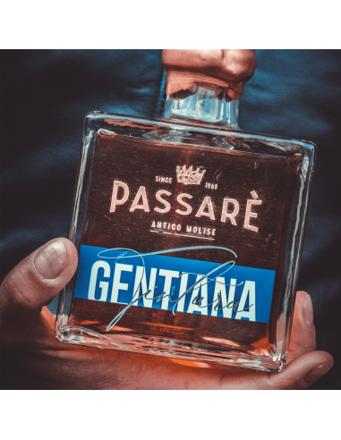 Gentiana