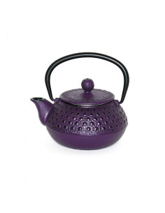 Teiera in Ghisa Japan Tea...