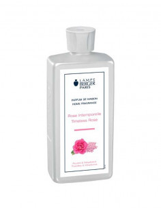 Rose Intemporelle