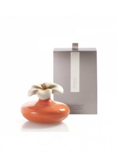 Diffusore per ambienti a...