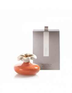 Diffusore per ambienti a... 2