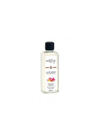 Soleil d'Ambre