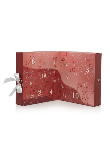 Calendario dell'Avvento Libro