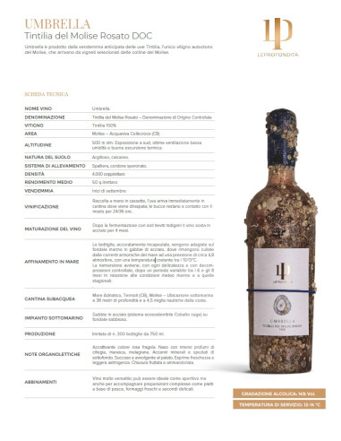 UMBRELLA LE PROFONDITA'