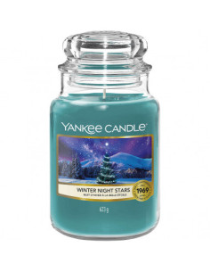Winter Night Stars