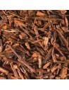 Rooibos